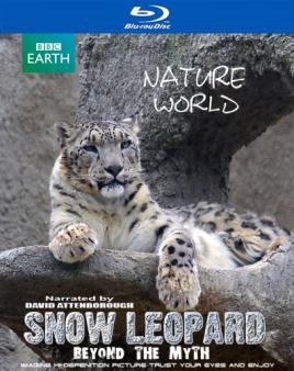 知情人称美散布假消息为暗杀伊议长